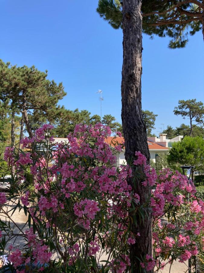 Villa Vittoria Lignano Sabbiadoro Exteriör bild